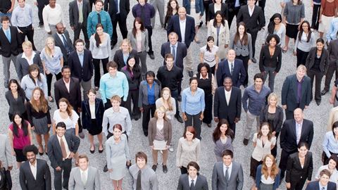 Employees
