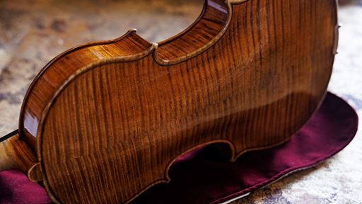 04 Antonio Stradivari Cremona 1690 viola Fulton ex Baird Tuscan Medici Back Shawn Miller Library of Congress